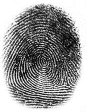 fingerprint2